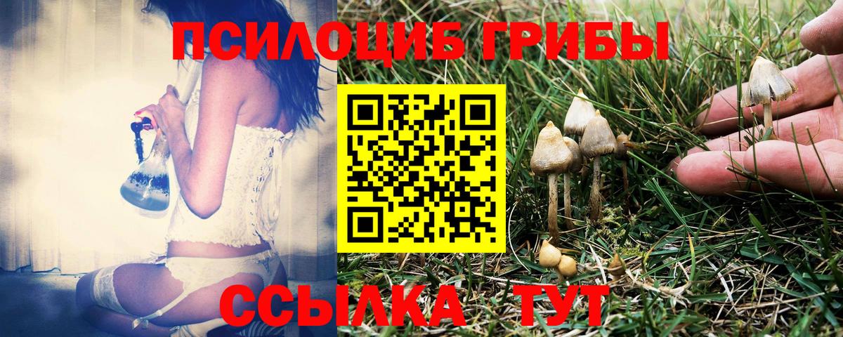 Галлюциногенные грибы Psilocybe  Вход с VPN  Истра 