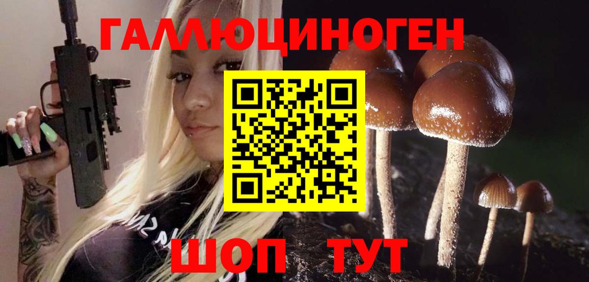 Псилоцибиновые грибы GOLDEN TEACHER Истра