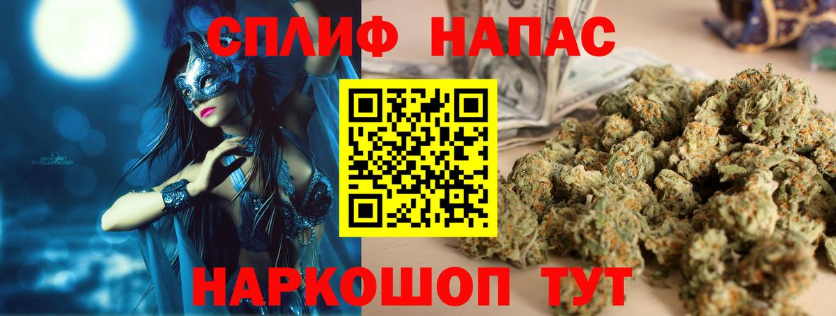 Бошки Шишки планчик Истра